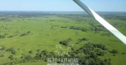 Fazenda à Venda 88.000 hectares Oportunidade na Pecuária no Pantanal | Cuiabá/ MT Fazenda à Venda 88.000 hectares Oportunidade na Pecuária no Pantanal | Cuiabá/ MT