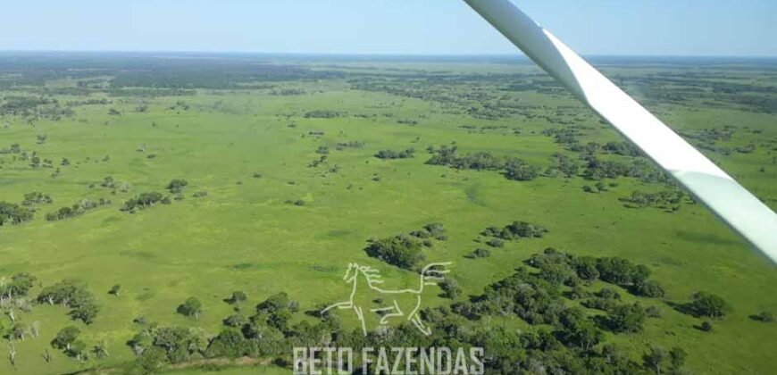 Fazenda à Venda 88.000 hectares Oportunidade na Pecuária no Pantanal | Cuiabá/ MT Fazenda à Venda 88.000 hectares Oportunidade na Pecuária no Pantanal | Cuiabá/ MT