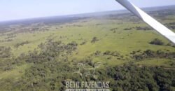 Fazenda à Venda 88.000 hectares Oportunidade na Pecuária no Pantanal | Cuiabá/ MT Fazenda à Venda 88.000 hectares Oportunidade na Pecuária no Pantanal | Cuiabá/ MT