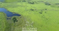 Fazenda à Venda 88.000 hectares Oportunidade na Pecuária no Pantanal | Cuiabá/ MT Fazenda à Venda 88.000 hectares Oportunidade na Pecuária no Pantanal | Cuiabá/ MT