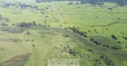 Fazenda à Venda 88.000 hectares Oportunidade na Pecuária no Pantanal | Cuiabá/ MT Fazenda à Venda 88.000 hectares Oportunidade na Pecuária no Pantanal | Cuiabá/ MT