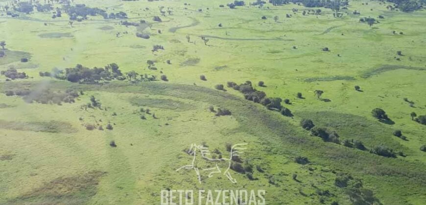 Fazenda à Venda 88.000 hectares Oportunidade na Pecuária no Pantanal | Cuiabá/ MT Fazenda à Venda 88.000 hectares Oportunidade na Pecuária no Pantanal | Cuiabá/ MT