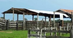 Fazenda à Venda 88.000 hectares Oportunidade na Pecuária no Pantanal | Cuiabá/ MT Fazenda à Venda 88.000 hectares Oportunidade na Pecuária no Pantanal | Cuiabá/ MT