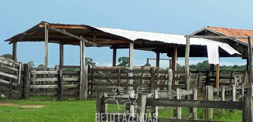 Fazenda à Venda 88.000 hectares Oportunidade na Pecuária no Pantanal | Cuiabá/ MT Fazenda à Venda 88.000 hectares Oportunidade na Pecuária no Pantanal | Cuiabá/ MT