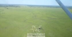 Fazenda à Venda 88.000 hectares Oportunidade na Pecuária no Pantanal | Cuiabá/ MT Fazenda à Venda 88.000 hectares Oportunidade na Pecuária no Pantanal | Cuiabá/ MT