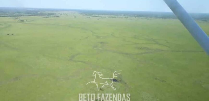 Fazenda à Venda 88.000 hectares Oportunidade na Pecuária no Pantanal | Cuiabá/ MT Fazenda à Venda 88.000 hectares Oportunidade na Pecuária no Pantanal | Cuiabá/ MT