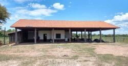 Fazenda à Venda 88.000 hectares Oportunidade na Pecuária no Pantanal | Cuiabá/ MT Fazenda à Venda 88.000 hectares Oportunidade na Pecuária no Pantanal | Cuiabá/ MT