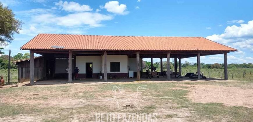 Fazenda à Venda 88.000 hectares Oportunidade na Pecuária no Pantanal | Cuiabá/ MT Fazenda à Venda 88.000 hectares Oportunidade na Pecuária no Pantanal | Cuiabá/ MT