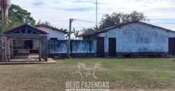 Fazenda à Venda 88.000 hectares Oportunidade na Pecuária no Pantanal | Cuiabá/ MT Fazenda à Venda 88.000 hectares Oportunidade na Pecuária no Pantanal | Cuiabá/ MT