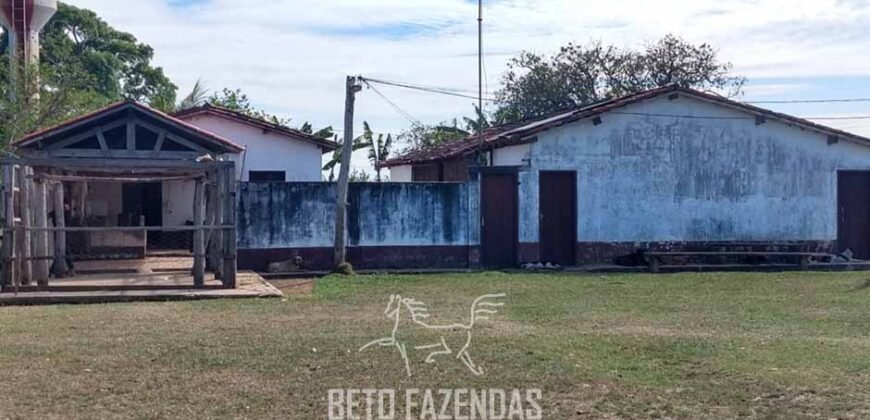 Fazenda à Venda 88.000 hectares Oportunidade na Pecuária no Pantanal | Cuiabá/ MT Fazenda à Venda 88.000 hectares Oportunidade na Pecuária no Pantanal | Cuiabá/ MT