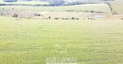 Fazensa à Venda 1.669 Hectares Dupla Aptidão Cana e Grãos | Taquarituba/ SP