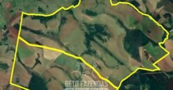 Fazensa à Venda 1.669 Hectares Dupla Aptidão Cana e Grãos | Taquarituba/ SP