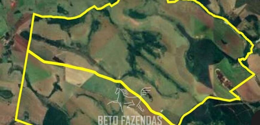 Fazensa à Venda 1.669 Hectares Dupla Aptidão Cana e Grãos | Taquarituba/ SP