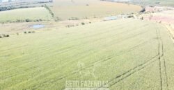 Fazensa à Venda 1.669 Hectares Dupla Aptidão Cana e Grãos | Taquarituba/ SP