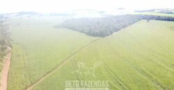 Fazensa à Venda 1.669 Hectares Dupla Aptidão Cana e Grãos | Taquarituba/ SP