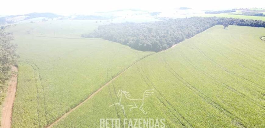 Fazensa à Venda 1.669 Hectares Dupla Aptidão Cana e Grãos | Taquarituba/ SP