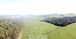Fazensa à Venda 1.669 Hectares Dupla Aptidão Cana e Grãos | Taquarituba/ SP