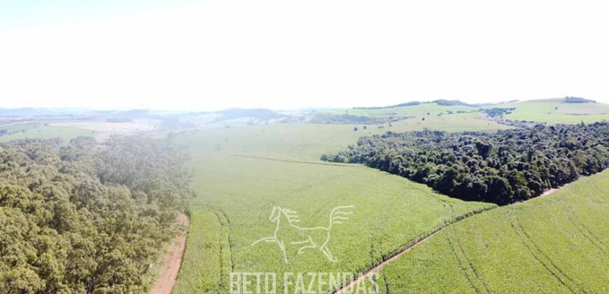 Fazensa à Venda 1.669 Hectares Dupla Aptidão Cana e Grãos | Taquarituba/ SP