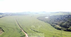 Fazensa à Venda 1.669 Hectares Dupla Aptidão Cana e Grãos | Taquarituba/ SP