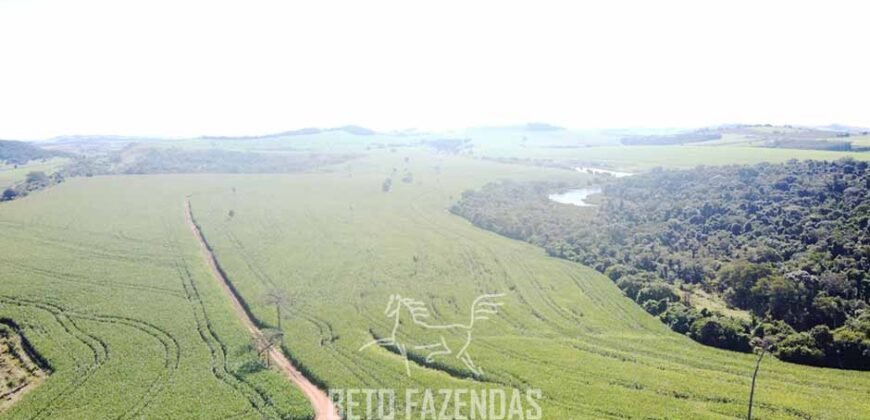 Fazensa à Venda 1.669 Hectares Dupla Aptidão Cana e Grãos | Taquarituba/ SP