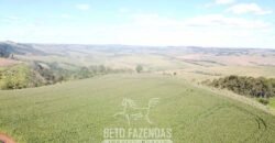 Fazensa à Venda 1.669 Hectares Dupla Aptidão Cana e Grãos | Taquarituba/ SP