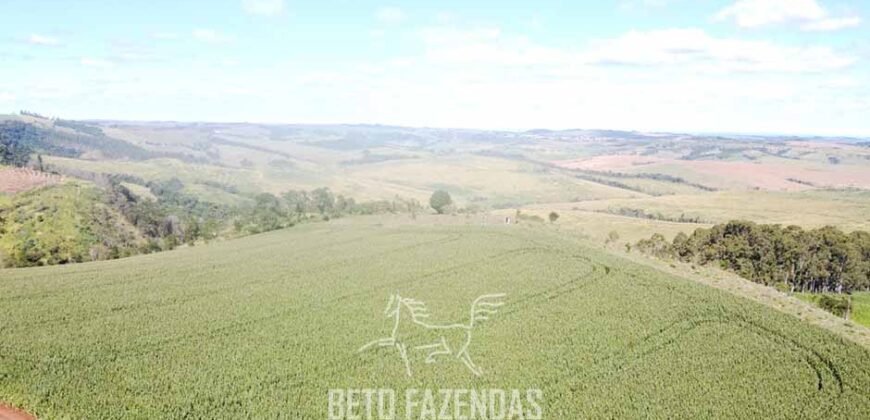 Fazensa à Venda 1.669 Hectares Dupla Aptidão Cana e Grãos | Taquarituba/ SP
