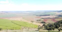 Fazensa à Venda 1.669 Hectares Dupla Aptidão Cana e Grãos | Taquarituba/ SP