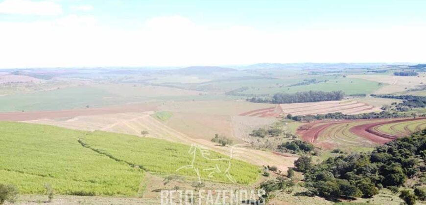 Fazensa à Venda 1.669 Hectares Dupla Aptidão Cana e Grãos | Taquarituba/ SP