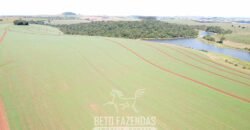 Fazensa à Venda 1.669 Hectares Dupla Aptidão Cana e Grãos | Taquarituba/ SP