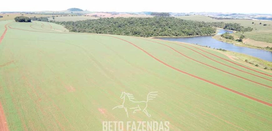 Fazensa à Venda 1.669 Hectares Dupla Aptidão Cana e Grãos | Taquarituba/ SP