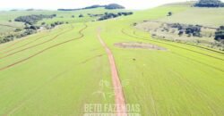 Fazensa à Venda 1.669 Hectares Dupla Aptidão Cana e Grãos | Taquarituba/ SP