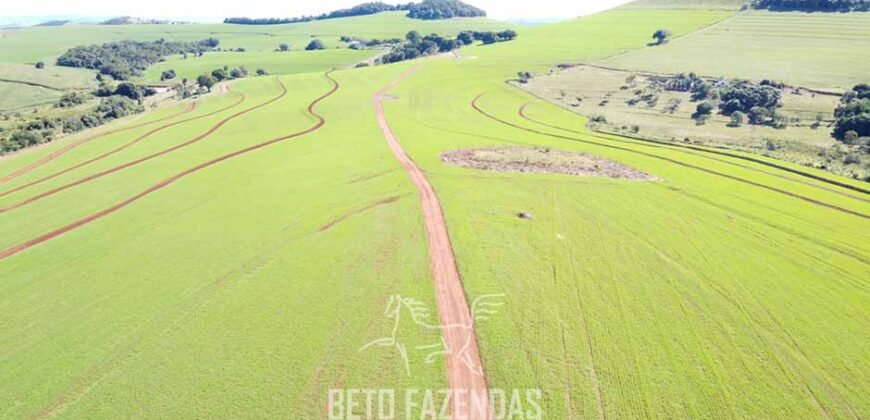 Fazensa à Venda 1.669 Hectares Dupla Aptidão Cana e Grãos | Taquarituba/ SP