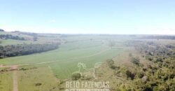 Fazensa à Venda 1.669 Hectares Dupla Aptidão Cana e Grãos | Taquarituba/ SP