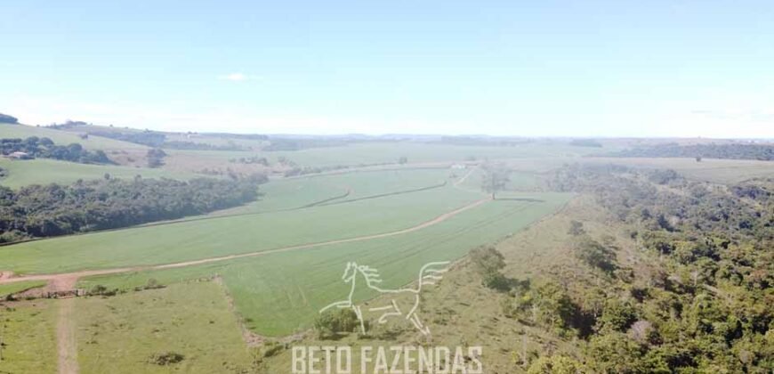 Fazensa à Venda 1.669 Hectares Dupla Aptidão Cana e Grãos | Taquarituba/ SP