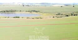 Fazensa à Venda 1.669 Hectares Dupla Aptidão Cana e Grãos | Taquarituba/ SP