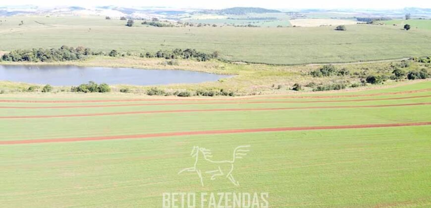 Fazensa à Venda 1.669 Hectares Dupla Aptidão Cana e Grãos | Taquarituba/ SP