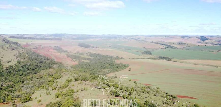 Fazensa à Venda 1.669 Hectares Dupla Aptidão Cana e Grãos | Taquarituba/ SP