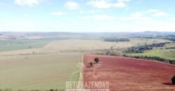 Fazensa à Venda 1.669 Hectares Dupla Aptidão Cana e Grãos | Taquarituba/ SP