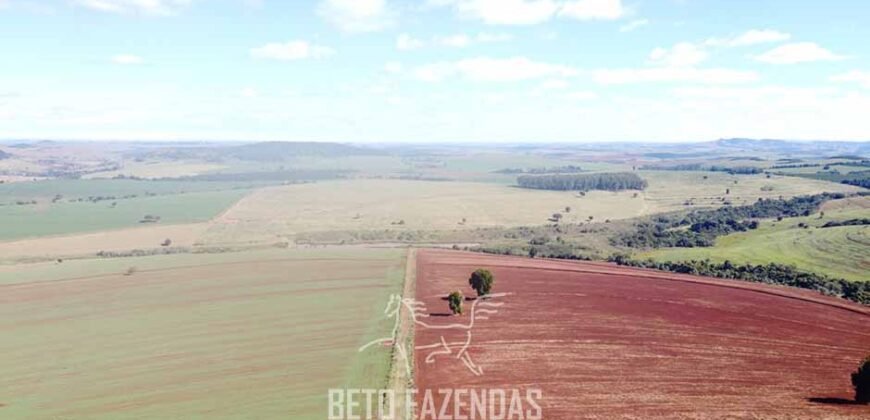 Fazensa à Venda 1.669 Hectares Dupla Aptidão Cana e Grãos | Taquarituba/ SP