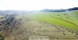 Fazensa à Venda 1.669 Hectares Dupla Aptidão Cana e Grãos | Taquarituba/ SP
