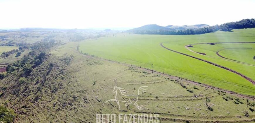 Fazensa à Venda 1.669 Hectares Dupla Aptidão Cana e Grãos | Taquarituba/ SP