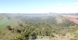 Fazensa à Venda 1.669 Hectares Dupla Aptidão Cana e Grãos | Taquarituba/ SP