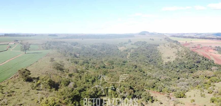 Fazensa à Venda 1.669 Hectares Dupla Aptidão Cana e Grãos | Taquarituba/ SP
