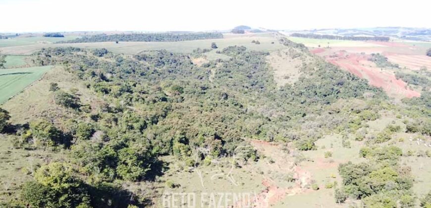 Fazensa à Venda 1.669 Hectares Dupla Aptidão Cana e Grãos | Taquarituba/ SP