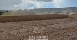 Fazenda à Venda 30.000 hectares Estrutura Completa para Lavoura Soja e Milho | Balsas/ MA