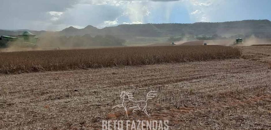 Fazenda à Venda 30.000 hectares Estrutura Completa para Lavoura Soja e Milho | Balsas/ MA