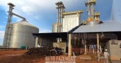 Fazenda à Venda 30.000 hectares Estrutura Completa para Lavoura Soja e Milho | Balsas/ MA