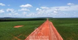 Fazenda à Venda 30.000 hectares Estrutura Completa para Lavoura Soja e Milho | Balsas/ MA