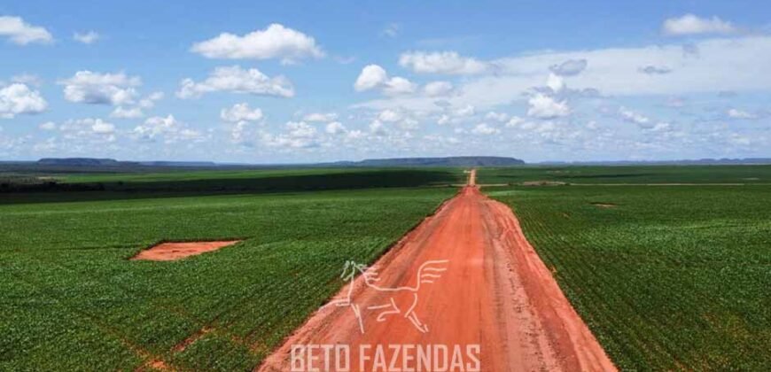 Fazenda à Venda 30.000 hectares Estrutura Completa para Lavoura Soja e Milho | Balsas/ MA