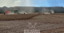 Fazenda à Venda 30.000 hectares Estrutura Completa para Lavoura Soja e Milho | Balsas/ MA